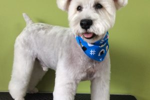 ８月のお友達☆