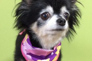 ８月のお友達☆