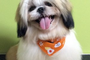 ８月のお友達☆