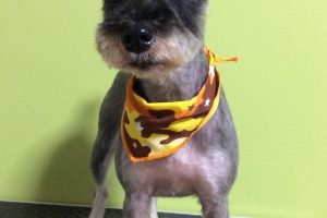 ８月のお友達☆