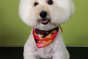 ８月のお友達☆