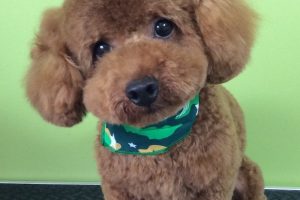 ８月のお友達☆