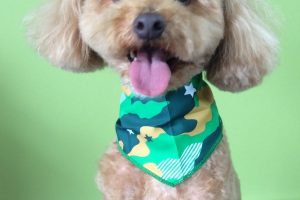 ８月のお友達☆