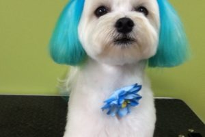 ８月のお友達☆