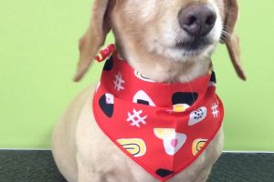 ８月のお友達☆