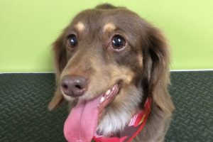 ８月のお友達☆