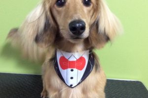 ８月のお友達☆