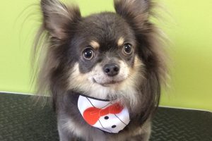 ８月のお友達☆