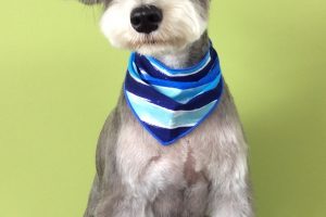 ８月のお友達☆