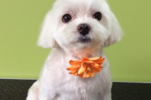 ８月のお友達☆