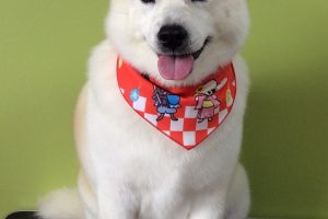 ８月のお友達☆