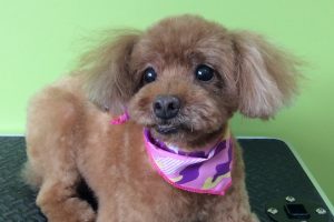 ８月のお友達☆