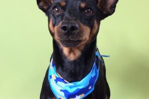 ８月のお友達☆