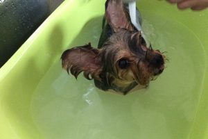 ８月のお友達☆