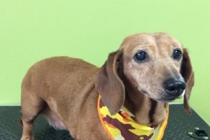 ８月のお友達☆