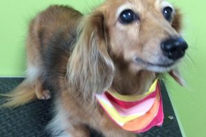 ８月のお友達☆