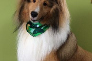 ８月のお友達☆