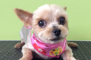 ８月のお友達☆