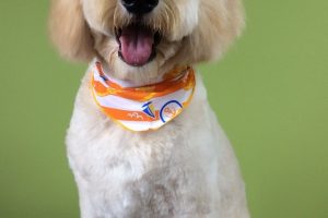 ８月のお友達☆