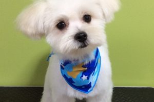 ８月のお友達☆