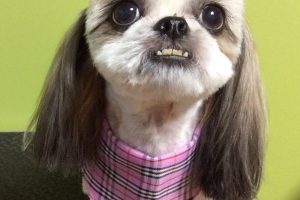 ８月のお友達☆