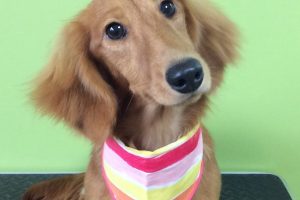 ８月のお友達☆