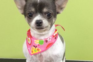 ８月のお友達☆