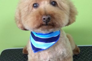 ８月のお友達☆