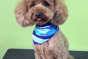 ８月のお友達☆