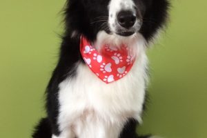 ８月のお友達☆