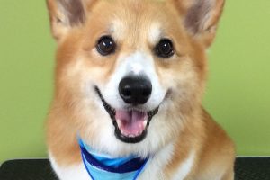 ８月のお友達☆