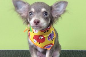 ８月のお友達☆