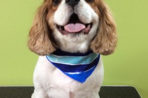 ８月のお友達☆