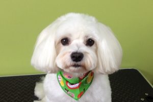 ８月のお友達☆