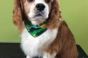 ８月のお友達☆