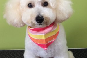 ８月のお友達☆