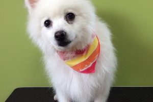 ８月のお友達☆