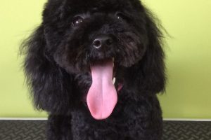 ８月のお友達☆