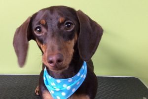 ８月のお友達☆