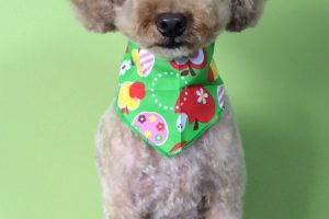 ８月のお友達☆