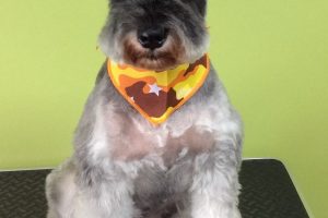 ８月のお友達☆