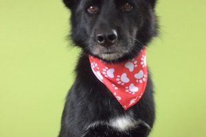 ８月のお友達☆