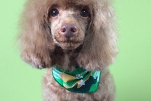 ８月のお友達☆