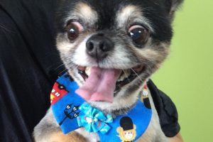 ８月のお友達☆