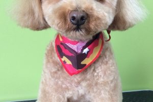 ８月のお友達☆