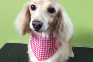 ８月のお友達☆