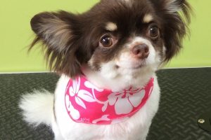 ８月のお友達☆