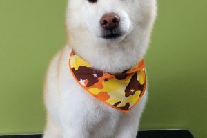 ８月のお友達☆