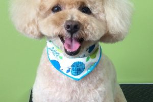 ８月のお友達☆