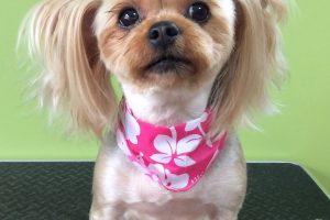 ８月のお友達☆